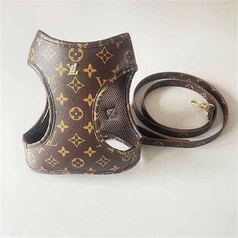 louis vuitton dog carriers|louis vuitton leash harness.